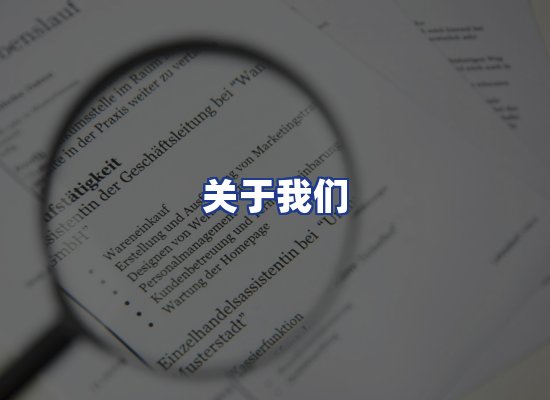 专业团队